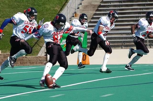 有一些天赋 有一些天赋