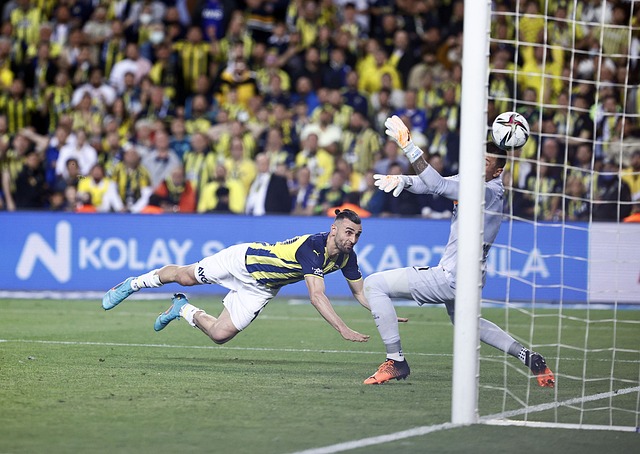 高新企业 高新企业