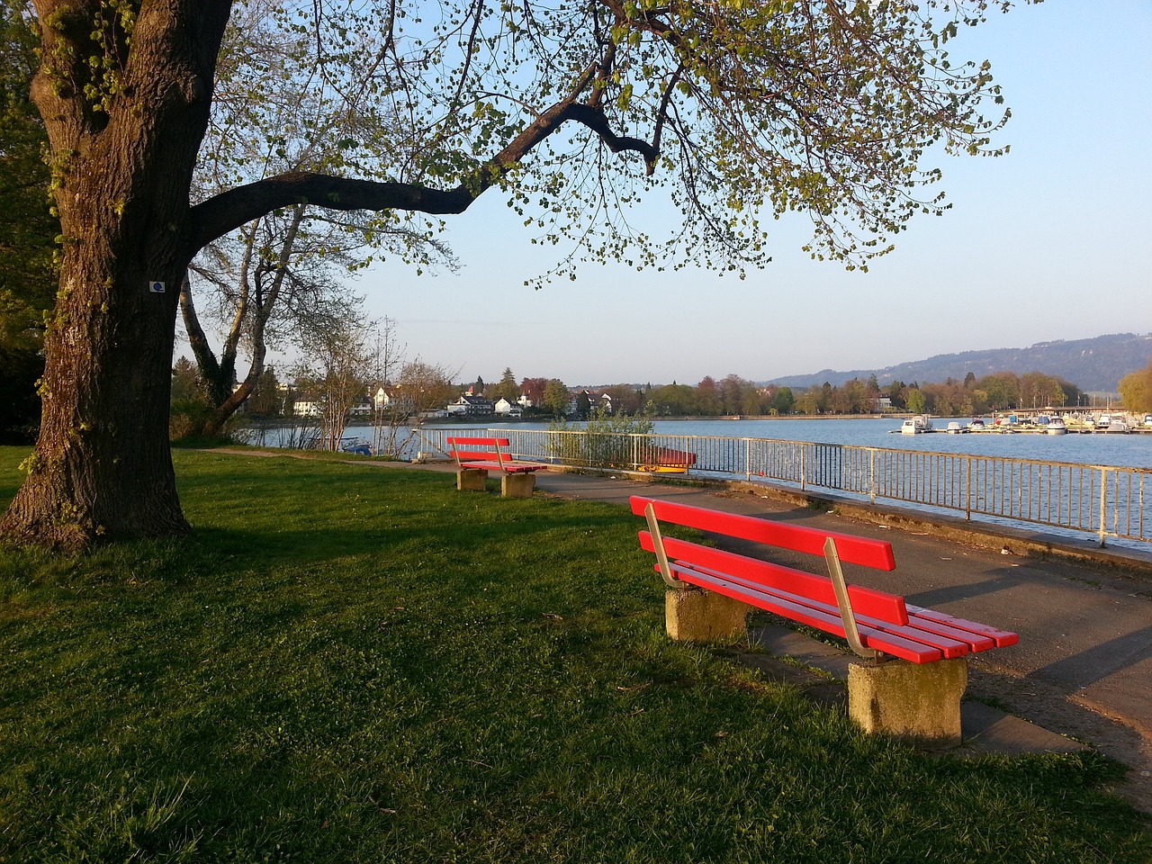 术研究的深 术研究的深